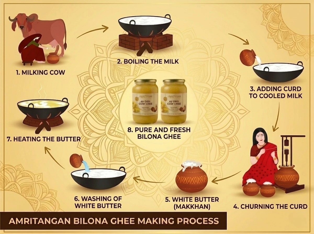 A2 Cow Ghee Making Process