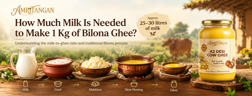 How much milk is needed to make 1 kg of Bilona ghee