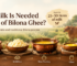 How much milk is needed to make 1 kg of Bilona ghee